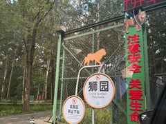 -秦皇岛野生动物园