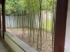 -秋霞圃