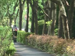 -新江湾城公园
