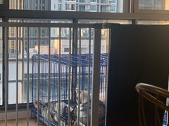 -Husky Go! 哈士奇体验馆·宠物咖啡厅狗咖