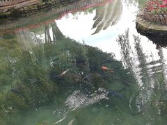 -水磨沟公园