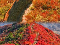 -香山公园