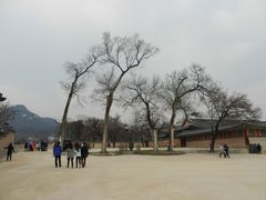 -景福宫