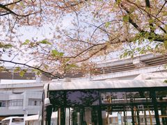 -南浦大桥长途旅游客运站