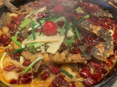 -老板恋上鱼(恒隆广场店)