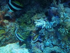 -成都浩海立方海洋公园