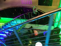 -东方之珠KTV娱乐超市(河北店)