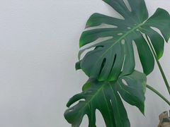 -P.T HERO私人健身工作室(吾悦国际店)