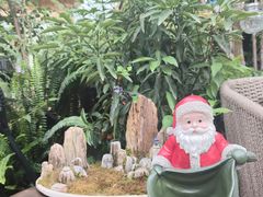 -大隐花事(熊婆婆的花园店)