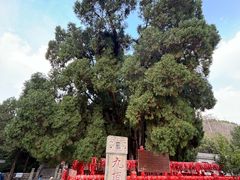 -四门塔风景区