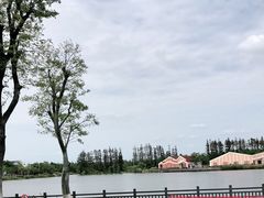 -上海长兴岛郊野公园