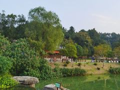 -常德桃花源景区