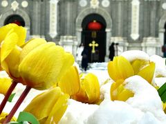 -王府井天主教堂