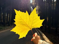 -山王坪喀斯特国家生态公园