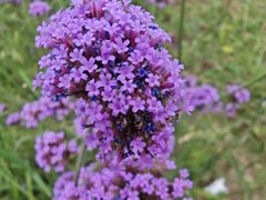 -青州市云门山风景区