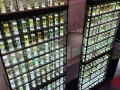 -广东中医药博物馆