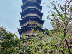 -阿育王寺