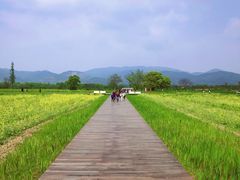 -良渚古城遗址公园