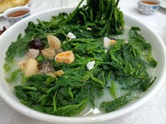 上汤桑叶-渔鸽皇酒楼(鸿大广场店)