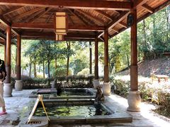 -洪湖悦兮半岛国际温泉度假村