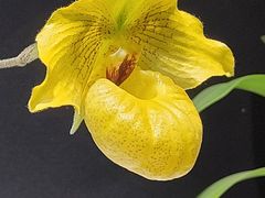 -北京植物园-展览温室