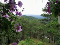 -Le Chalet Dalat