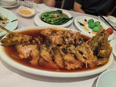 -金三杯酒家(泉城路店)