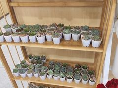 -海底捞火锅(泰安爱琴海店)