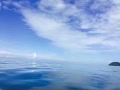 -东姑阿都拉曼海洋公园