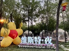 -维斯特·夜烤牛肋条任吃