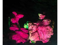 -北京上方山国家森林公园