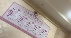 -上海百佳妇产医院