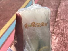 -猫的魔法密林(衣裳街店)