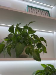 -Dr·Jane皮肤管理中心