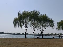 -漕湖湿地公园