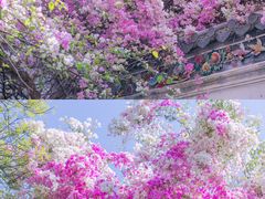 -深圳国际园林花卉博览园