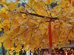 -阿大排档(长春这有山店)