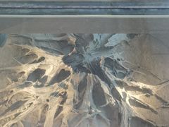 -金沙遗址博物馆