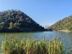 -桃花岭景区