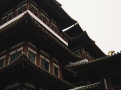 -新加坡佛牙寺龙华院