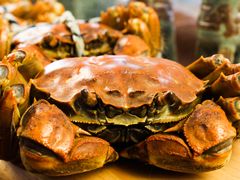 -丫丫蟹庄·苏式园林农家乐·阳澄湖大闸蟹(阳澄湖莲花岛店)