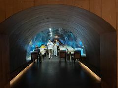 -涛·海底餐厅·美人鱼·自助餐·海底隧道(三亚海棠湾洲际度假酒店)