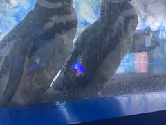 -常州海昌海洋探索馆