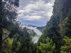 -刘伯温故里景区百丈漈