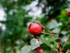 -青州市云门山风景区