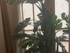-东方之珠洗浴休闲广场(南开店)