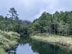 -海南热带雨林国家公园吊罗山景区