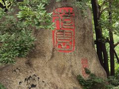 -云龙湖旅游景区