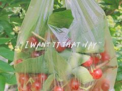 -樱桃山旅游景区