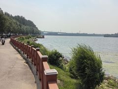 -丁香湖公园
